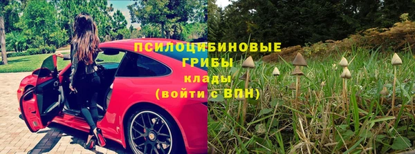 скорость Няндома