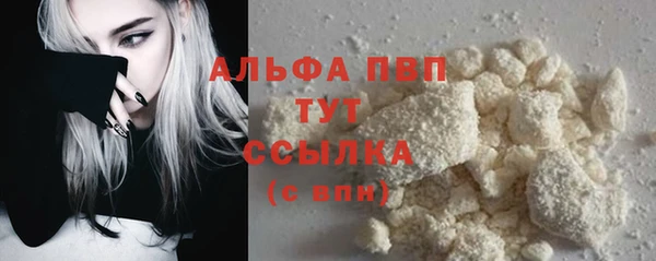 крисы Осташков