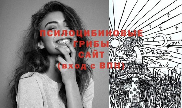 гашик Пересвет