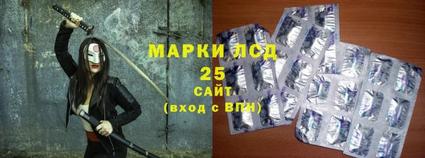 spice Осинники