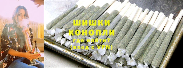 spice Осинники