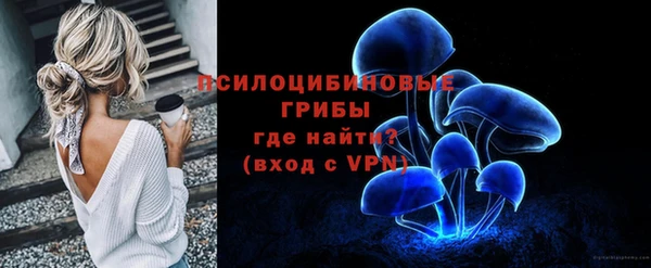 крисы Осташков